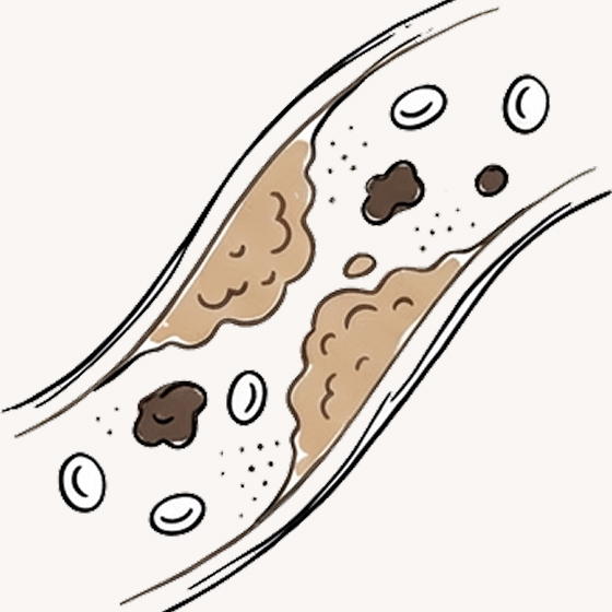 JangPass 제품 이미지